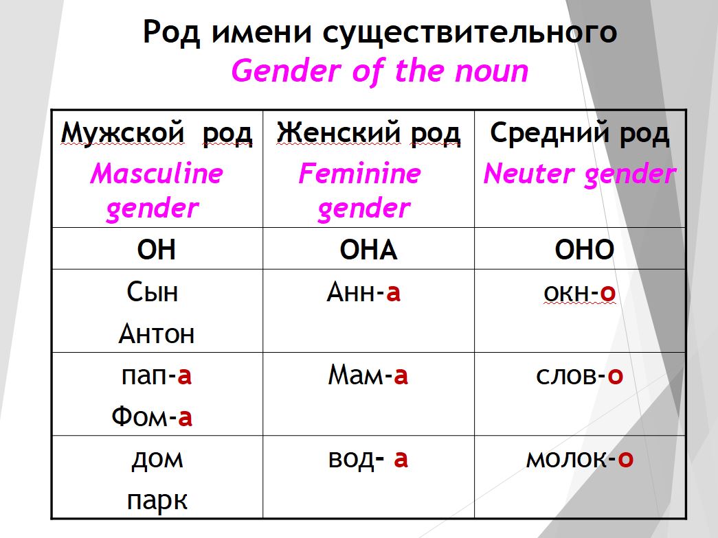 Род имён существительных | Университет Кокшетау